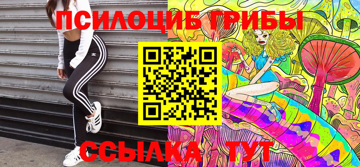 Галлюциногенные грибы Psilocybine cubensis Егорьевск