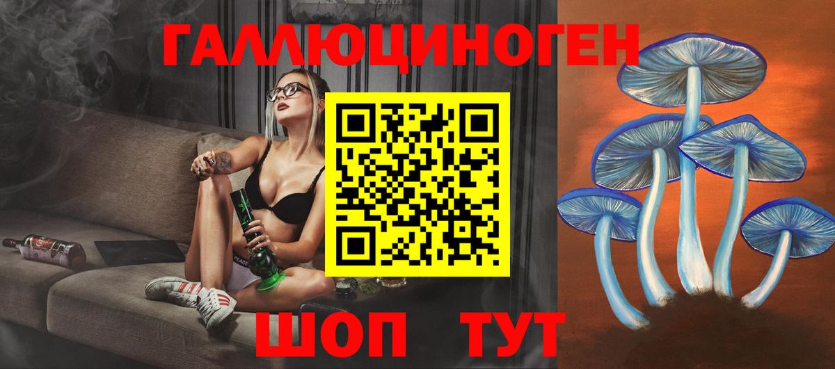 Галлюциногенные грибы Psilocybine cubensis  Вход с VPN  Егорьевск 